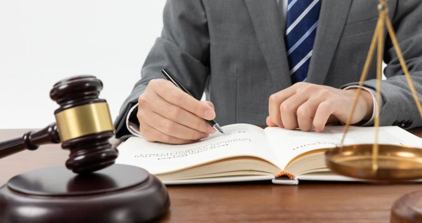litigation support
